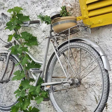 Family Near Old Town * Mostar