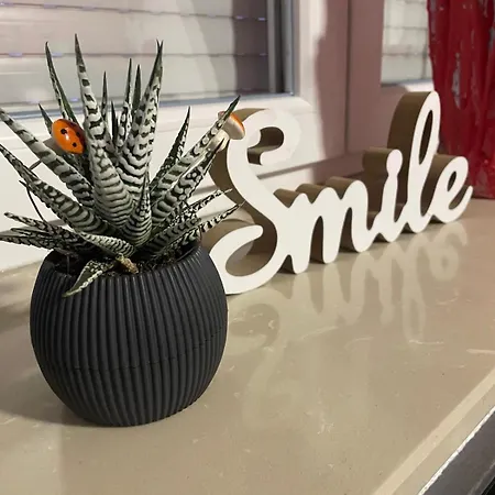 Family Near Old Town